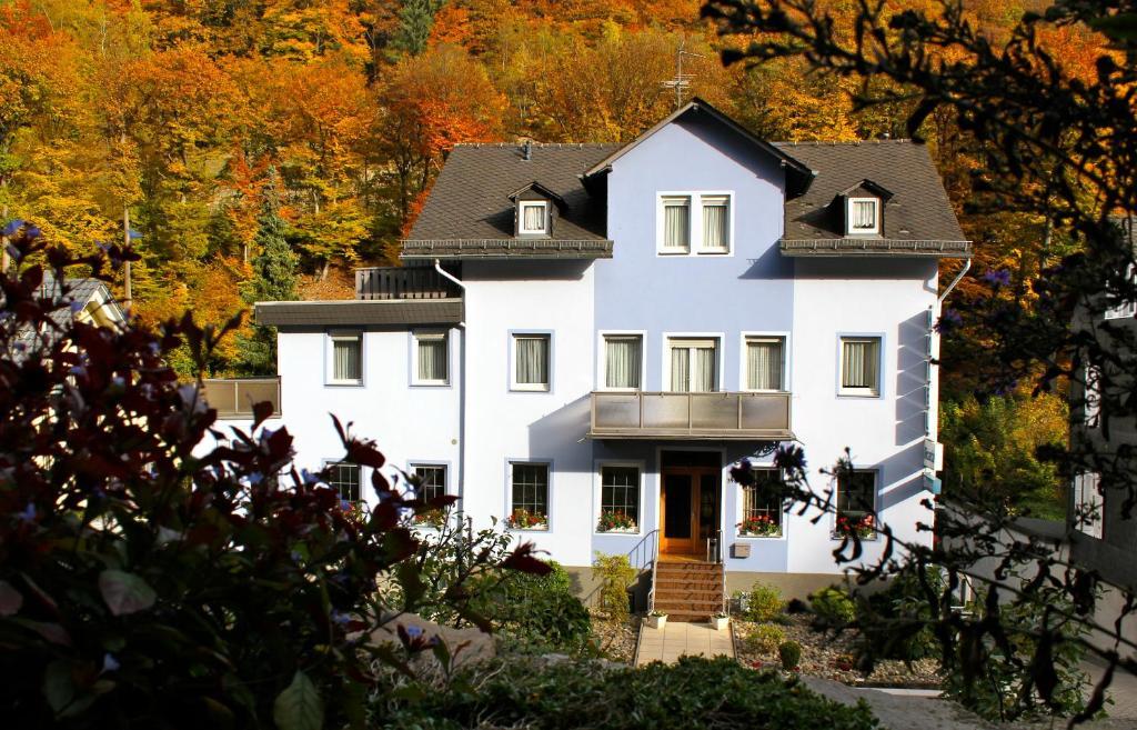 Hotel Ricarda Schlangenbad Exteriér fotografie