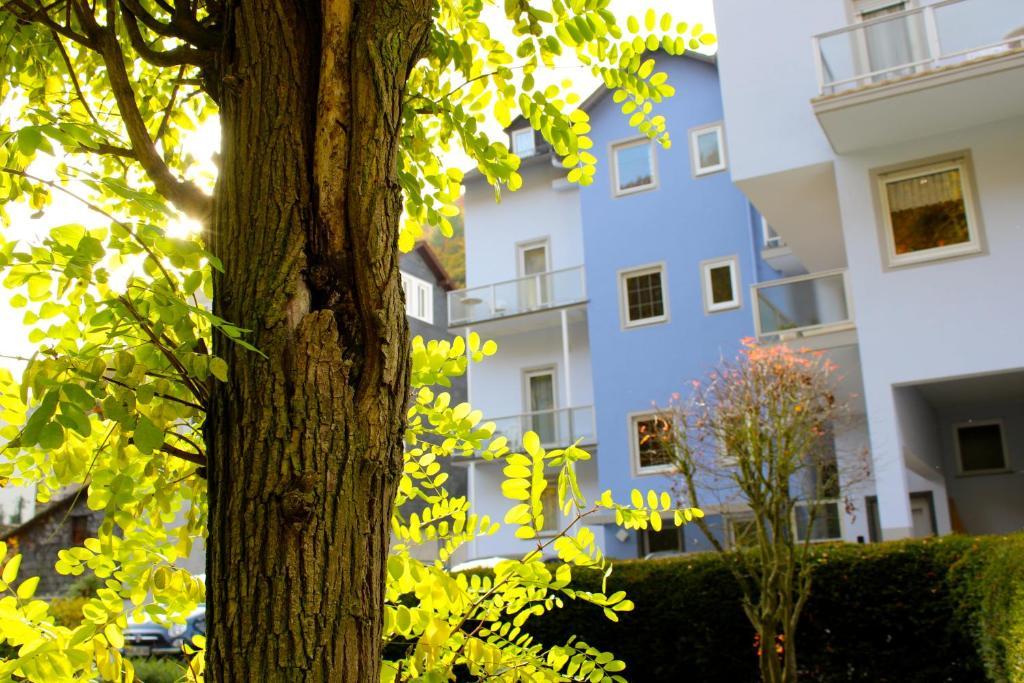 Hotel Ricarda Schlangenbad Exteriér fotografie